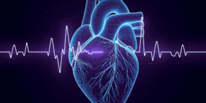 Heart ultrasound used for cardiac monitoring, representing PHC Ventures’ investment in Sonus Microsystems.